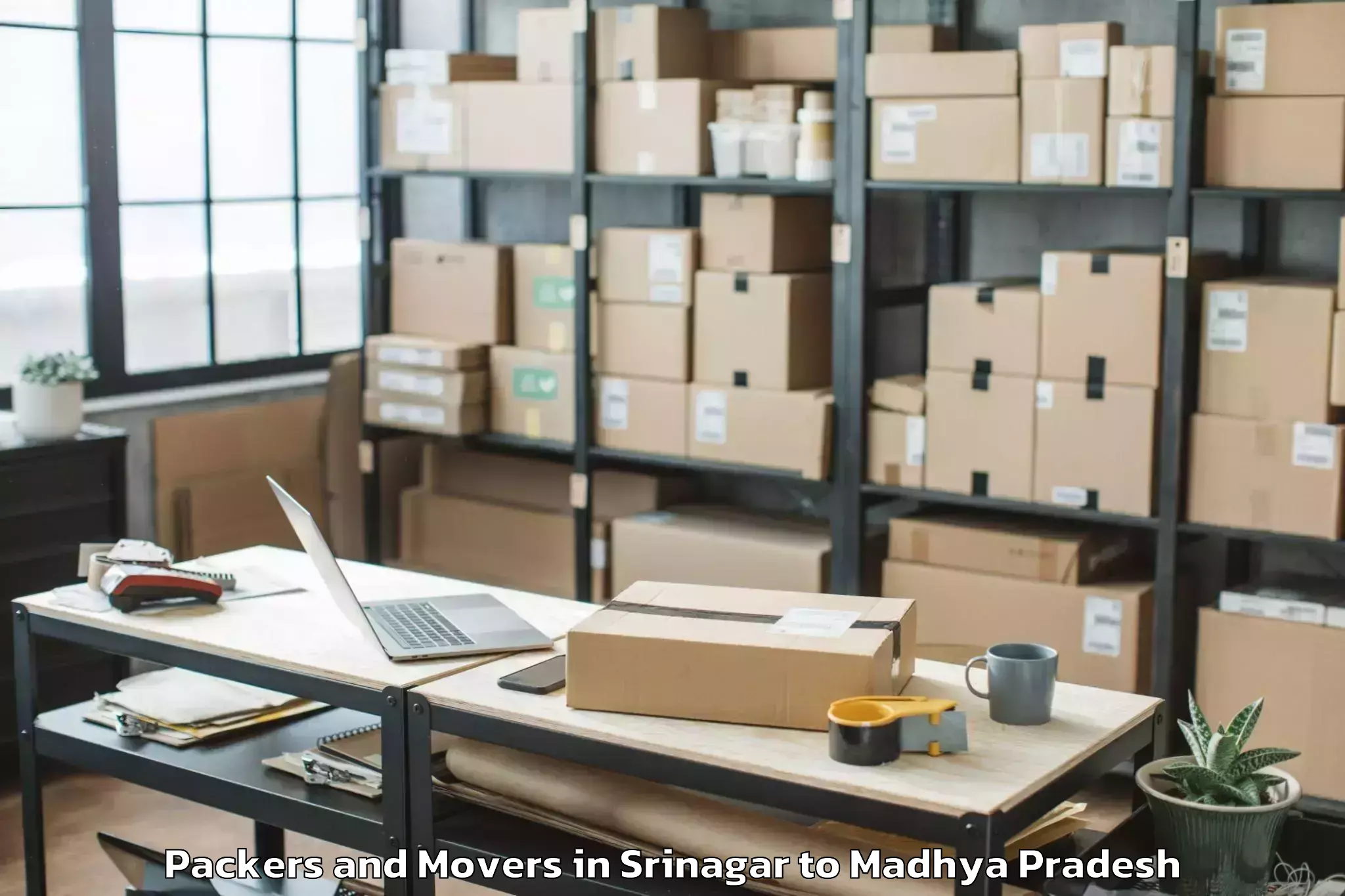 Affordable Srinagar to Sidhi Packers And Movers